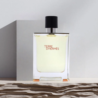 HERMÈS Terre D'hermes 3.3oz Men's Eau de Toilette Spray for sale