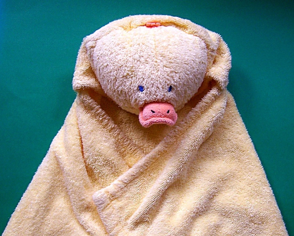 Carter's Hooded Yellow Cotton Terry Cloth Duck Towel (EUC)
