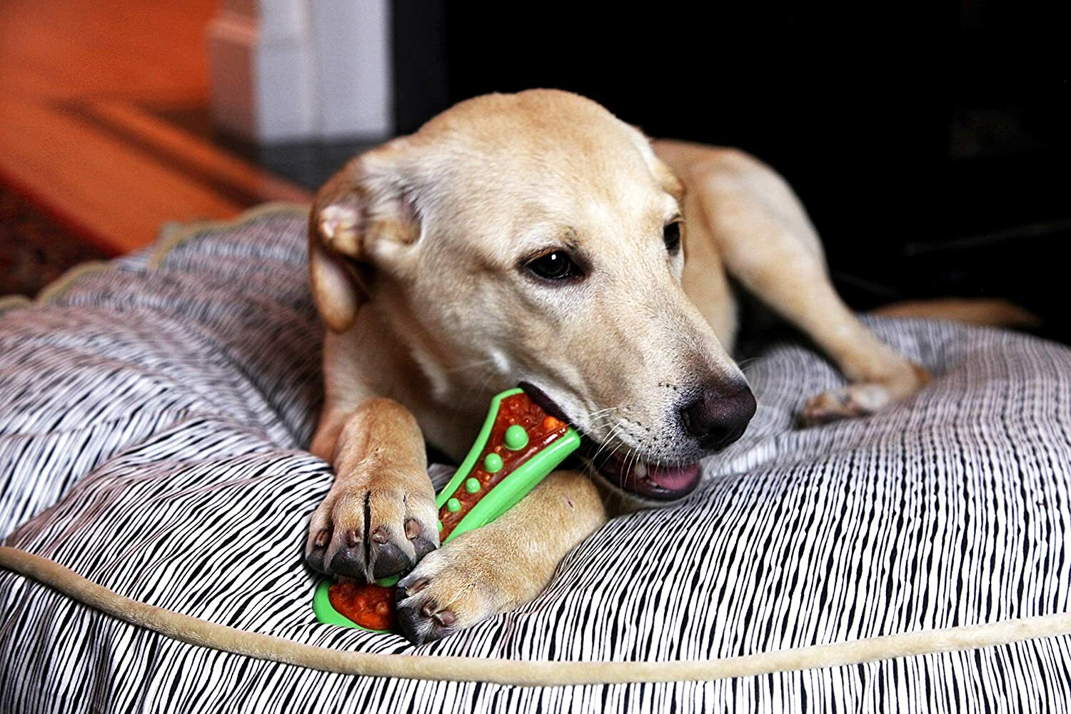 hartz chew n clean bacon