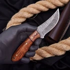 Hand Forged Damascus Steel Blade Exotic Wood Handle Skinner Hunting Knife
