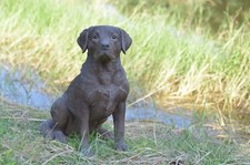 Brown Labrador Retriever Dog Decor Garden Statue Home Decor Indoor/Outdoor