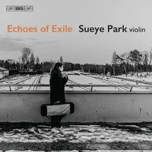 Echoes of Exile - Bild 2