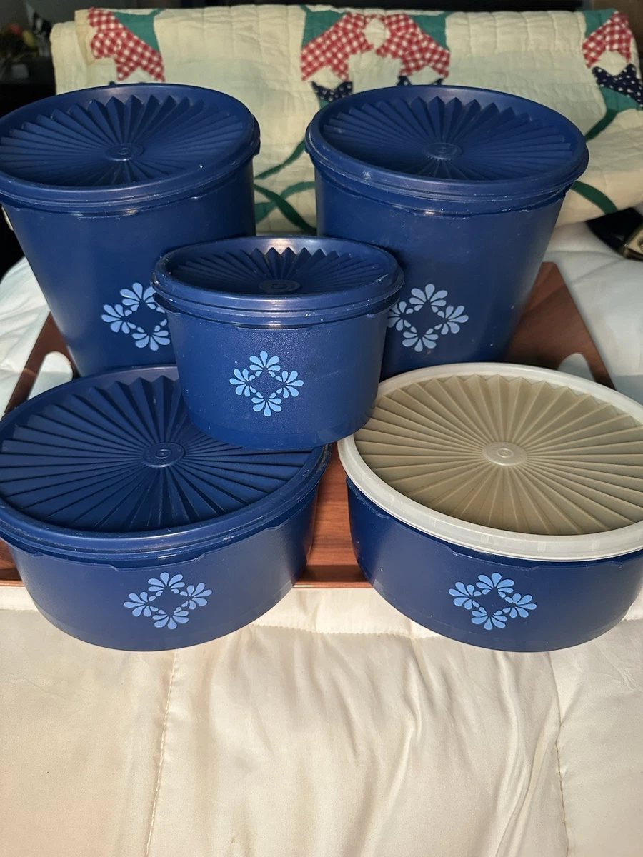 Preços baixos em Armazenamento Antigo Tupperware em potes de