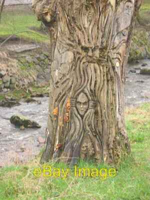 Foto 6x4 Baum Skulptur Dollar Burn ich habe nichts über thi gefunden um 2008