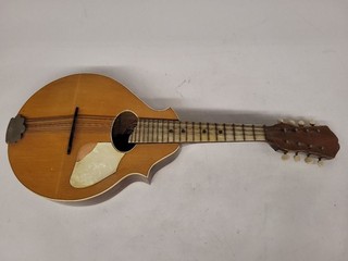 The Serenader B&J New York Stromberg Voisinet Mandolin