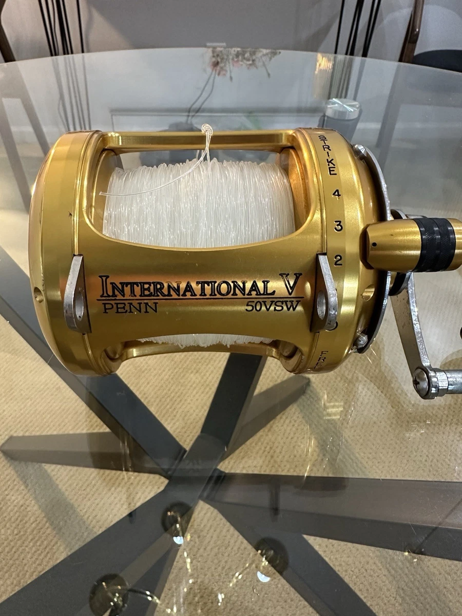 Moulinet de Pêche à levier Penn Fathom II - 2 vitesses - 470,6 g - Sport