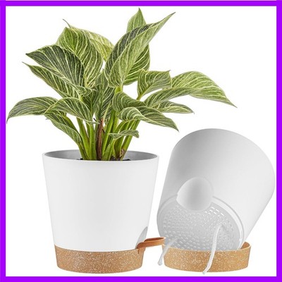 Versatile 2-Pack 8-Inch Planter Pots - Self-Watering with Deep Reservoir Design