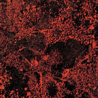 King Gizzard & the Liz Murder of the Universe: Live at Red  (Vinyl) (US IMPORT)