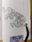 Picture 6 of 12