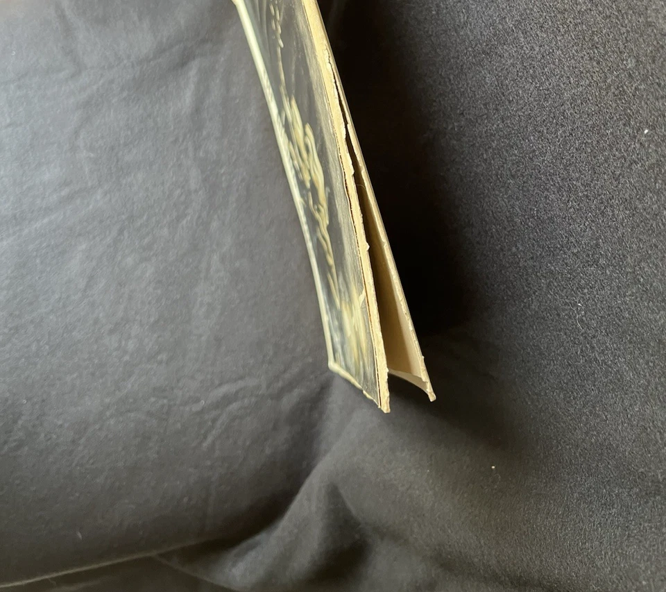 THE RISING SONS DEBUT~NM- 1962 FOLK PSYCH LP~DEEP GROOVE PRIVATE LABEL RARITY - Image 2 of 4