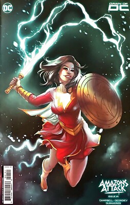 AMAZONS ATTACK VOLUME 2 #1 NM COVER E MEGHAN HETRICK CARD STOCK INCENTIVE VAR
