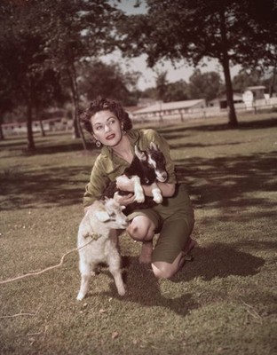 Actress Yvonne De Carlo With Two Goats, Usa, Circa 1955 Old Photo