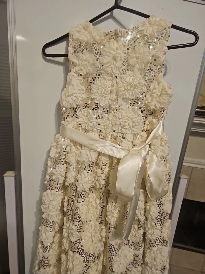 Vestido de princesa americana para niña talla 12 Foto 2 de 2