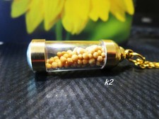 Mustard Seeds necklace Faith Real mustard seed charm nature boho hippie jewelry