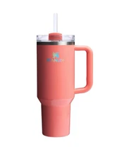 Stanley X Target Exclusive 40oz Pucker Peach Tumbler SeePhotos Blemishes