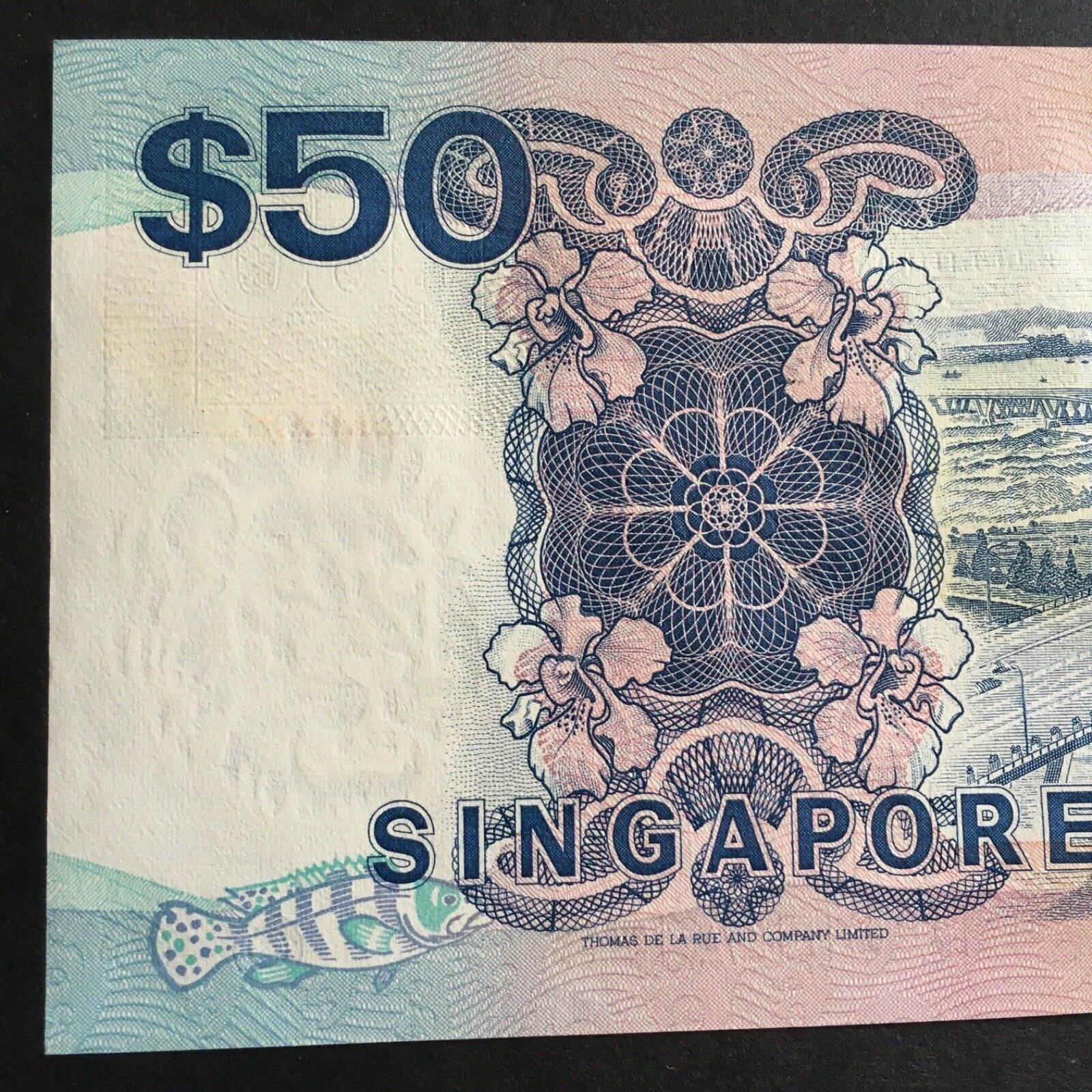 Picture 4 of 12