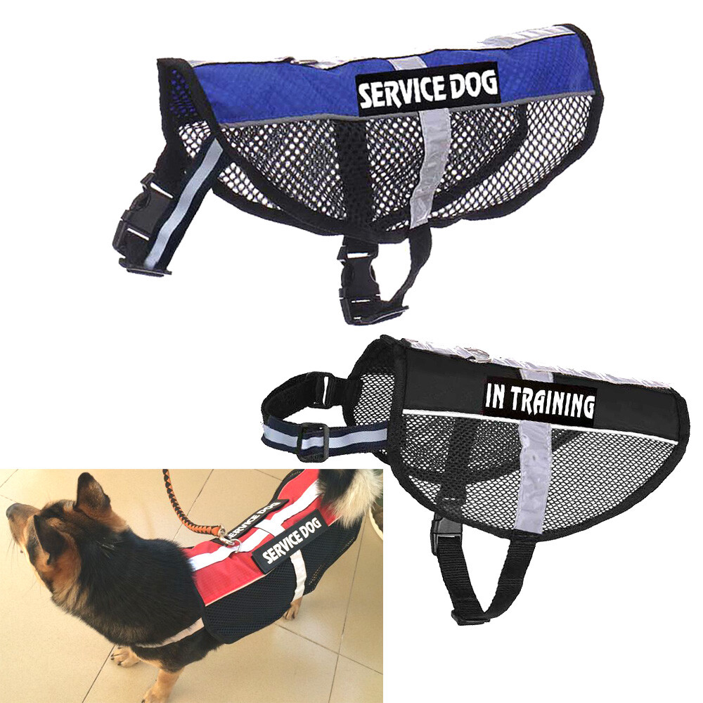 How Can I Get A Free Emotional Support Dog