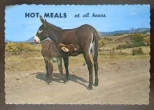 Hot Meals at All Hours, Suckling Mule - 1975, Rough Edges, Bent Corner