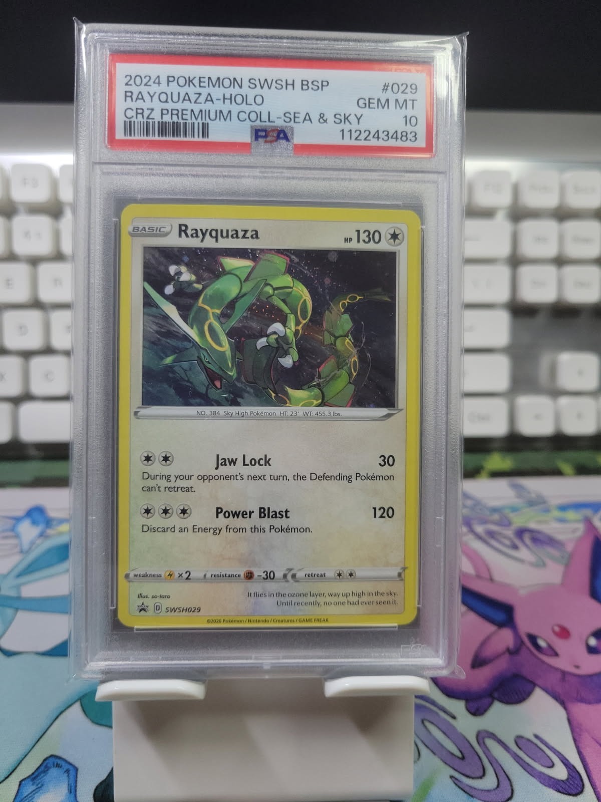 PSA 10 GEM MINT 2024 RAYQUAZA HOLO BLACK STAR PROMO SWSH029 SEA & SKY🔥