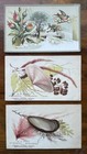Lot Of 20 Victorian 1800’s Trade Cards~Boston~New York~Detroit~More — photo 6