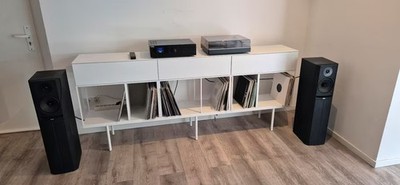 Bowers & Wilkins (B&W) DM 305
