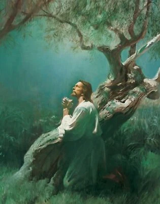 JESUS IN GETHSEMANE Wall Print Photo Poster Lord Christ Praying Christian