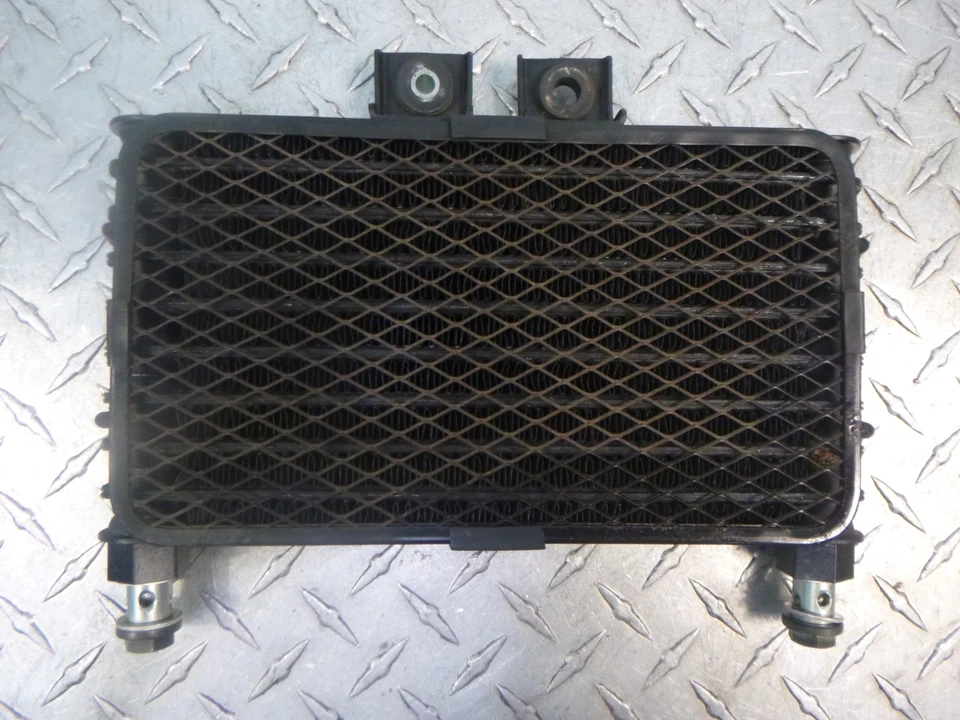 Enfriador de aceite de motor Hyosung Aquila GV250 2008 Foto 4 de 4