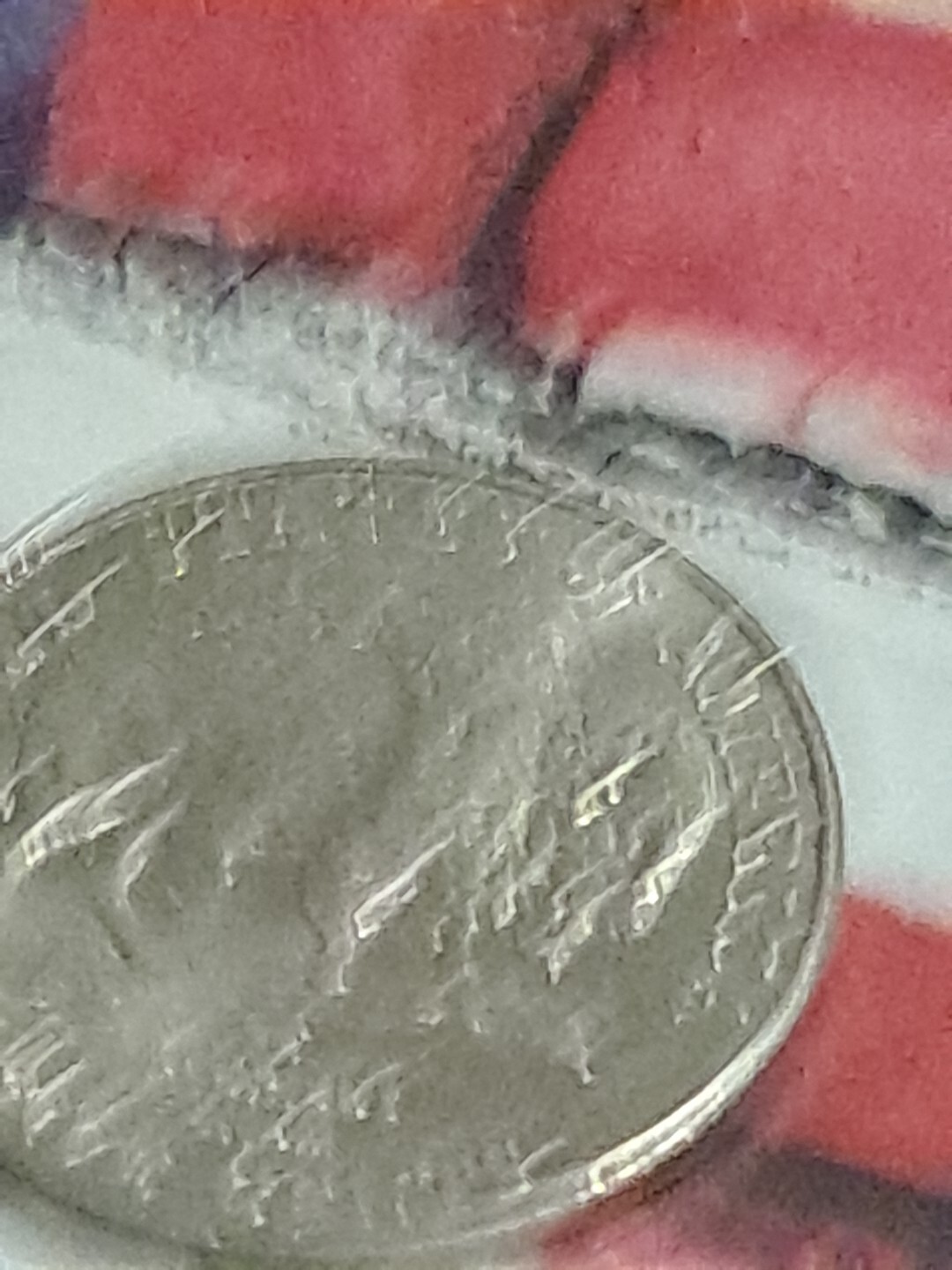 Picture 8 of 12