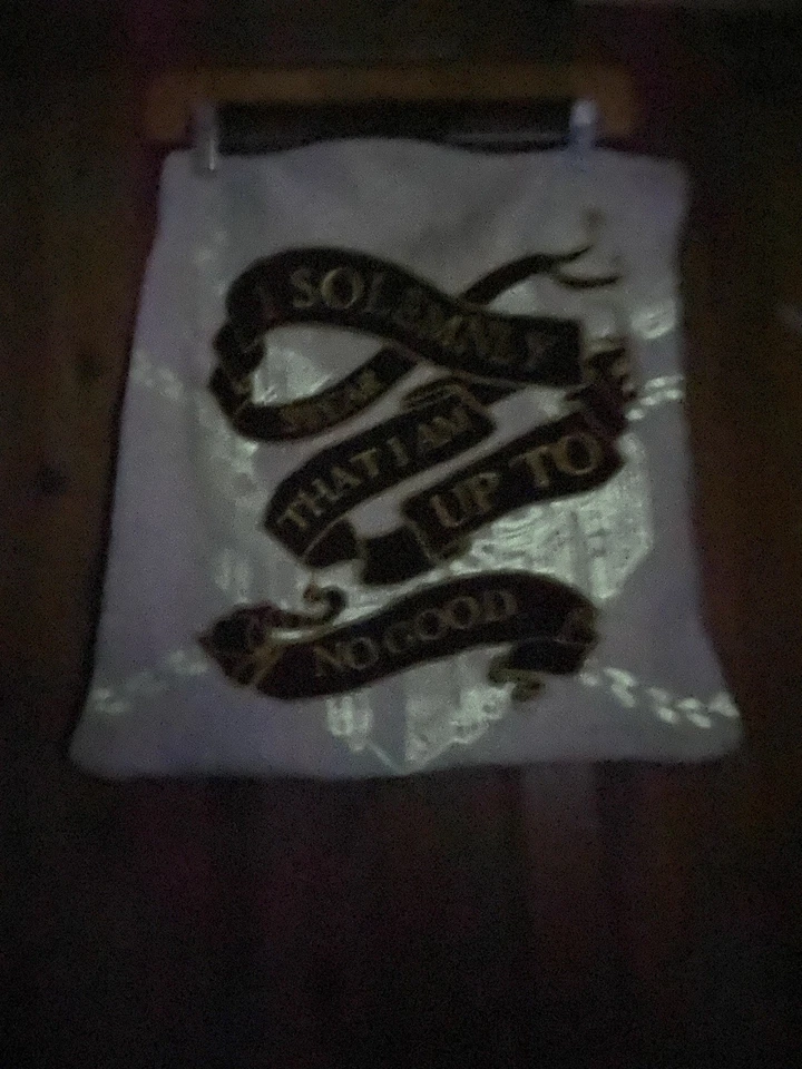 Funda de almohada Pottery Barn Harry Potter Marauders mapa decorativo 18”X18” brilla en la oscuridad Foto 2 de 4