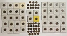 81 US Indian Head Penny Estate Lot (1881-1908) Sleeved + Loose Bulk