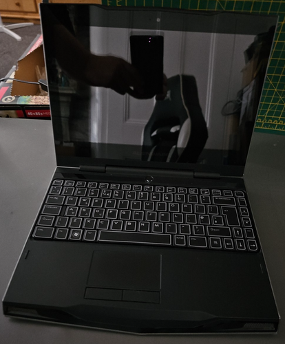 Dell Alienware M11X 2010 - Picture 3 of 12