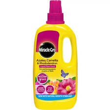 1L Miracle Gro Azalea Camellia Rhododendron Liquid Concentrated Plant Food Feed 10.85 per litre