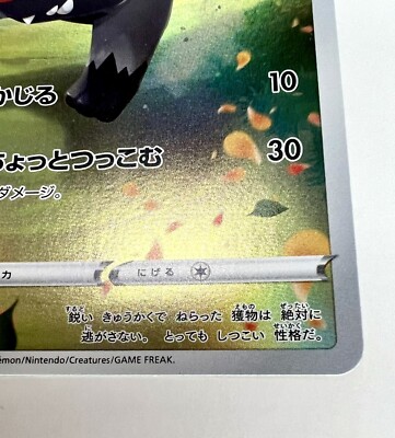 2022 Japanese Pokémon Card NM - Poochyena AR 208/172 s12a 2022 Japanese Pokémon Card NM - Poochyena AR 208/172 s12a