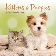 Kittens & Puppies: 7x7 Mini by Carousel Worldwide (English)