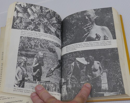 THE WORLD OF BEES, 1965 HC DJ BOOK BY MURRAY HOYT, HONEYBEE RESEARCH - Picture 6 of 6