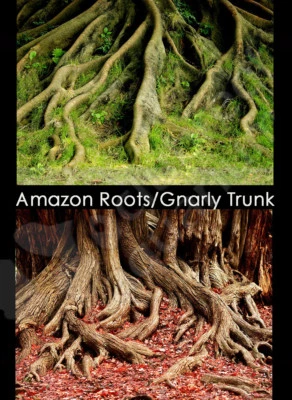 UNDERWATER TREASURES Amazon Roots/Gnarly Trunk Wall 24" Aquarium Background