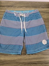 American Eagle Swim Surf Board Shorts Men's Large Blue Striped Trunks Drawstring