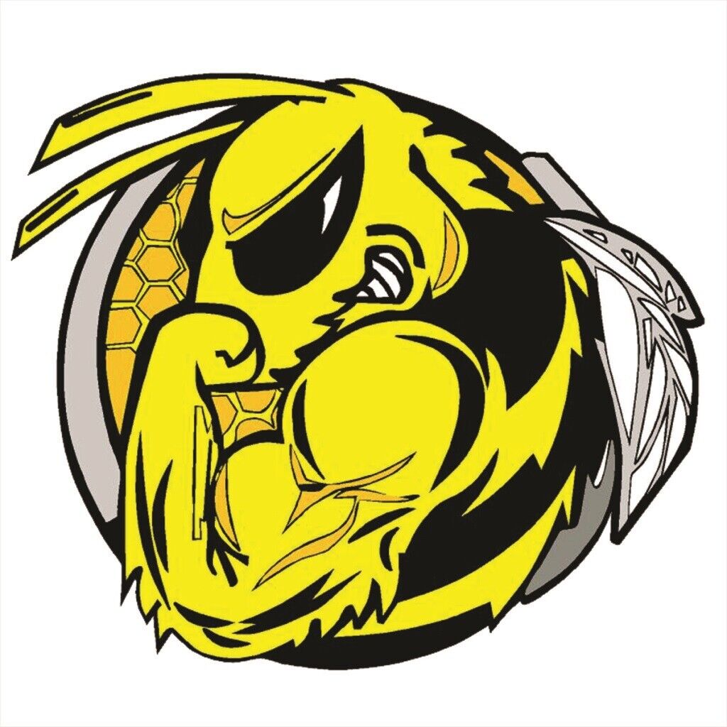 Challenge the lowest price of Japan SKI-DOO BEE DECAL 7.5