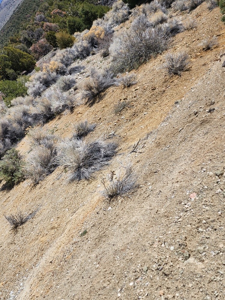 Gold Trail Gold Mine Lander County, Nevada Carlin Trend, gold mining