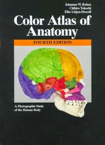 Anatomy A Photographic Atlas by Johannes Rohen | eBay
