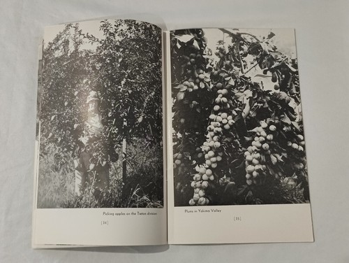 1939 Yakima Federal Reclamation Project U.S. Department Of Interior Booklet - Picture 9 of 17