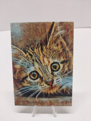  Sketch Card -Cute kitten cats  1/1 print Aceo art card OOK RARE 