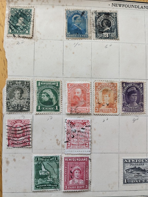 15 Newfoundland Stamps On stockbook Page