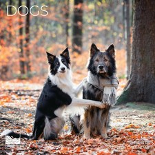 2026 Dog Wall Calendar 12 X 24 Giftable Puppy Calendar Large Size NEW