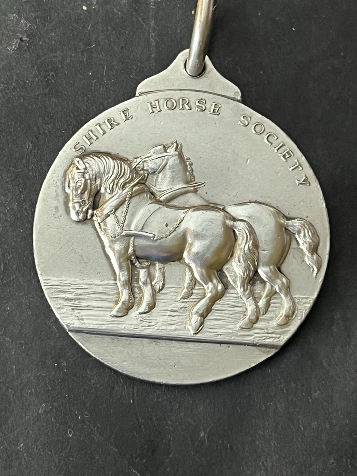 1929 SILVER SHIRE HORSE SOCIETY MEDAL MAPPIN & WEBB - 49 GRAMS - Image 3 of 4