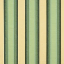 Awning/Marine Fabric - Sunbrella® Colonnade Juniper 46" 4856-0000