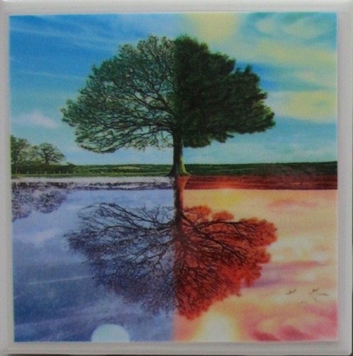 Set of 4 - Ceramic Tile Coaster - Tree Seasons (Buy 2 Sets - Get 1 Set Free) 1A - Picture 2 of 7
