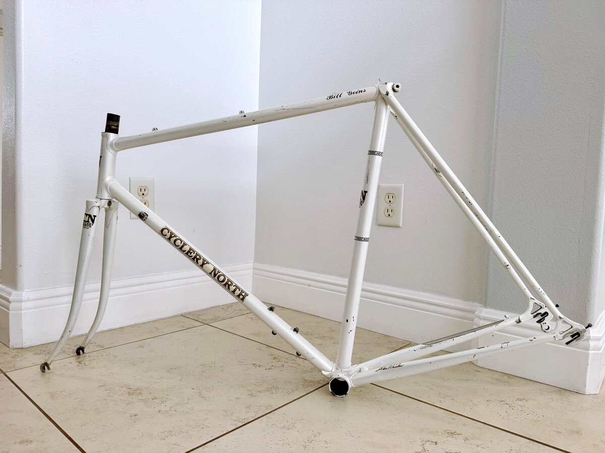 Vintage 1982 Iconic Cyclery North Columbus SL Campagnolo Steel