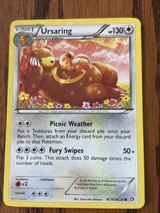 Ursaring Pokemon Card | eBay