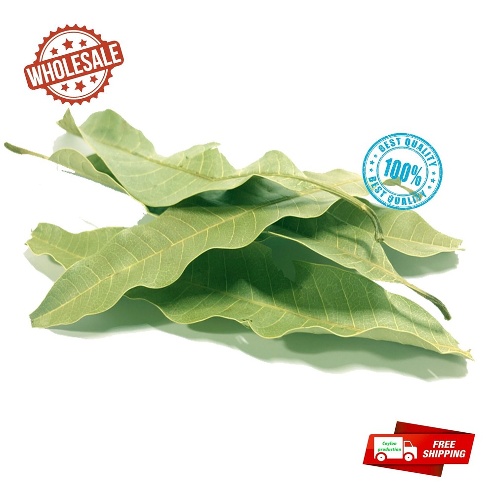 Dried Mango whole Leaves organic for tea Homemade From 100% ceylon pure natural